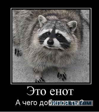 "Ханна Монтана"- репеллент от енотов.