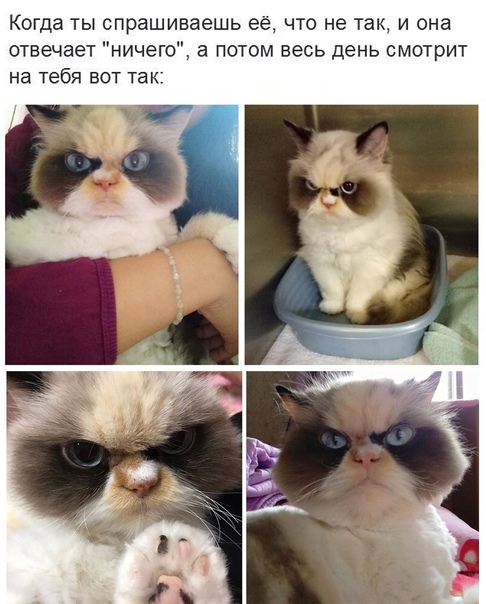 Картинки и мемы для настроения