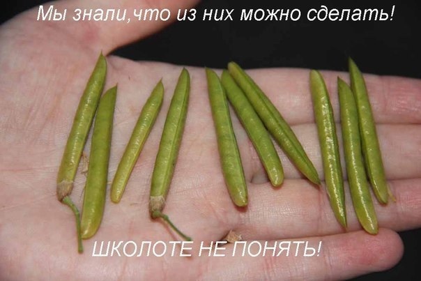 А ты и моргнуть не успел, как года улетают!