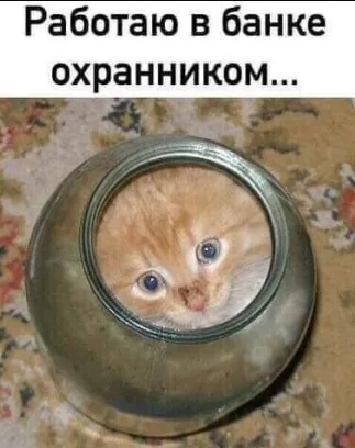 Йумористические картинки 12.08.2021