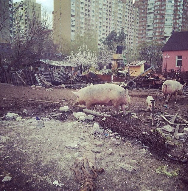 Бездуховный запад. Часть Вторая