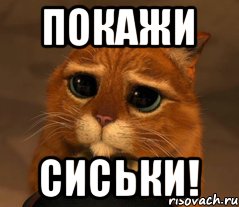 Юмор. Мемы