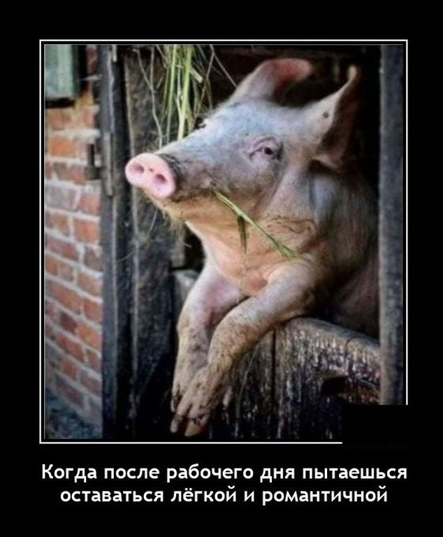 Картинки с надписями 26.07.22