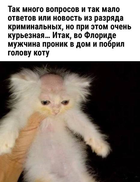 Музыкальный профиль blatas Last.fm