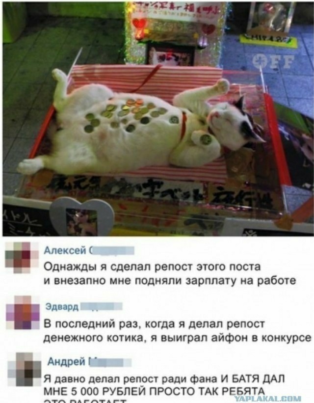 Извините. Деньги очень нужны