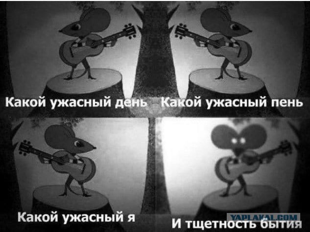 Друзья! не 4 февраля. а уже завтра я на ТНТ!