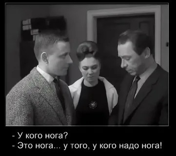 За дурной головой и ступне не покой