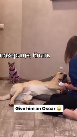 Оскара ему!