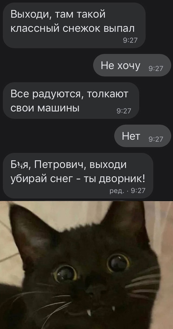 Так себе картинки 23.12.23