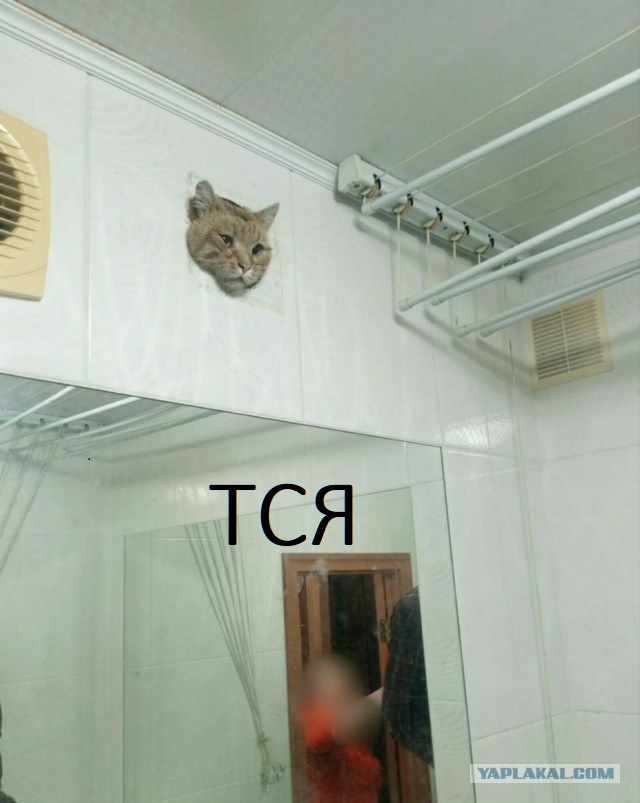 Что, застрял?