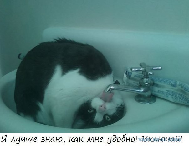 Только у меня так?