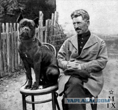 Гражданская война 1918—1920 годов в 20 картинах Митрофана Грекова