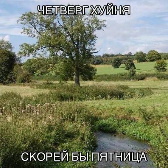 Просто разное весёлости картинки и видео из интернета