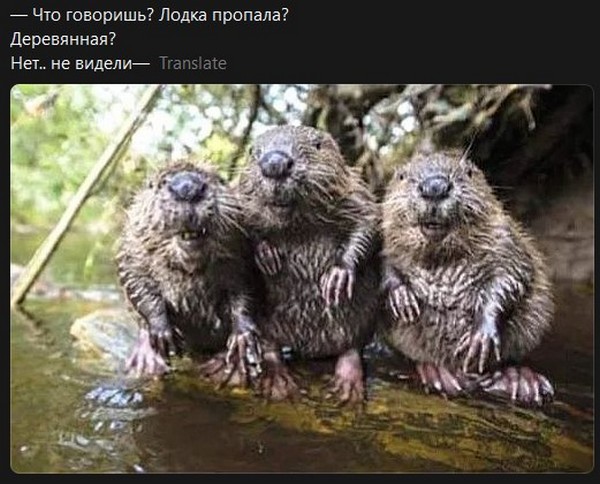 Завалялось тут случайно немного забавных картинок