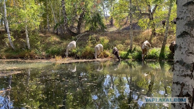 Расчехляем фотоальбомы. Лето 2024