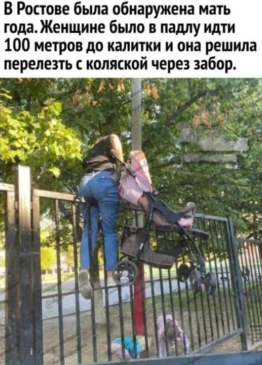 Так себе картинки 11.10.24