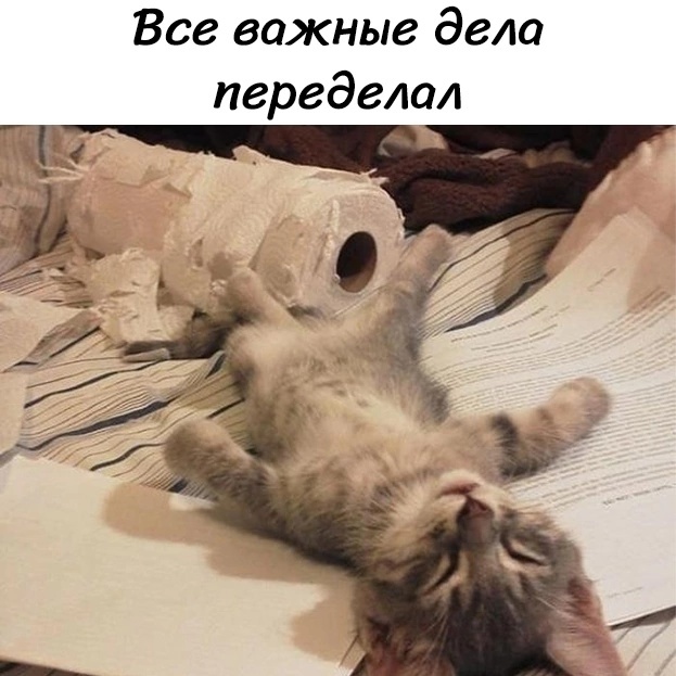 Так себе картинки 20.11.24