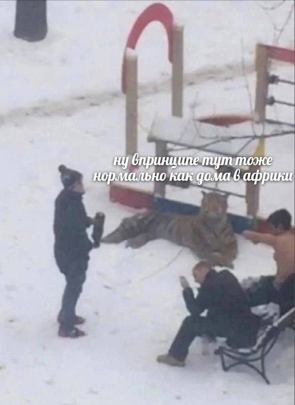 Завалялось тут случайно немного забавных картинок