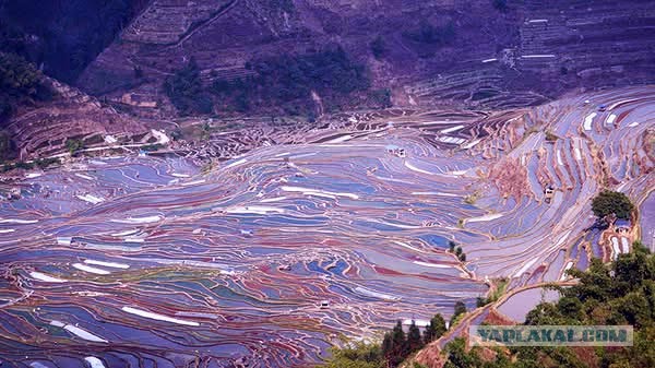 Бутан, таинственный Бутан