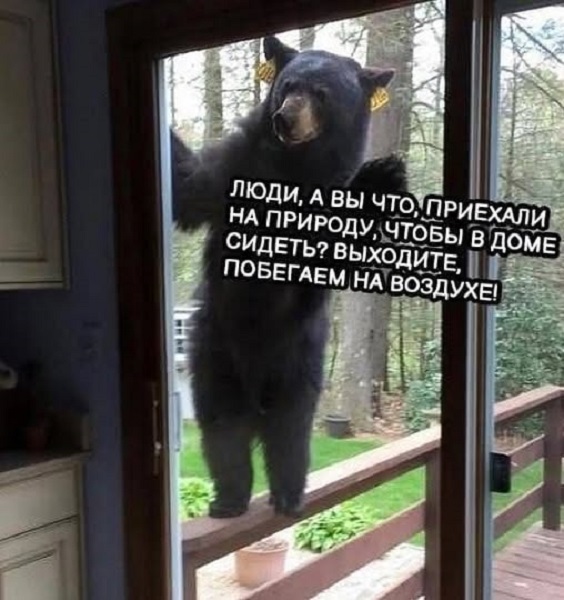 Картинки разные с надписями и без