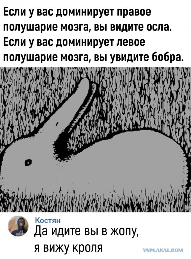 Так себе картинки 21.10.25
