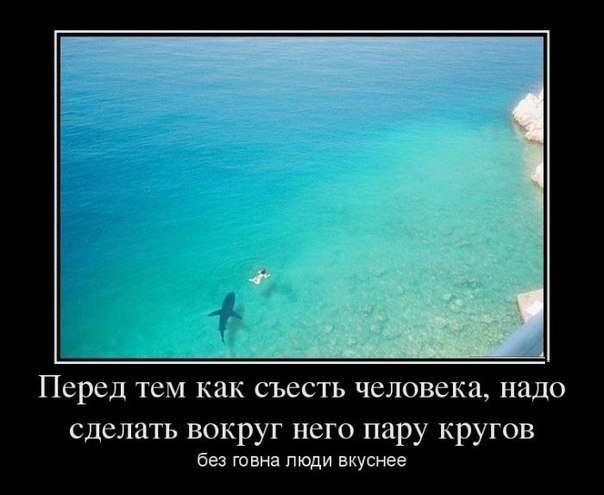 с наступившим годом лошади, продолжаем праздновать!