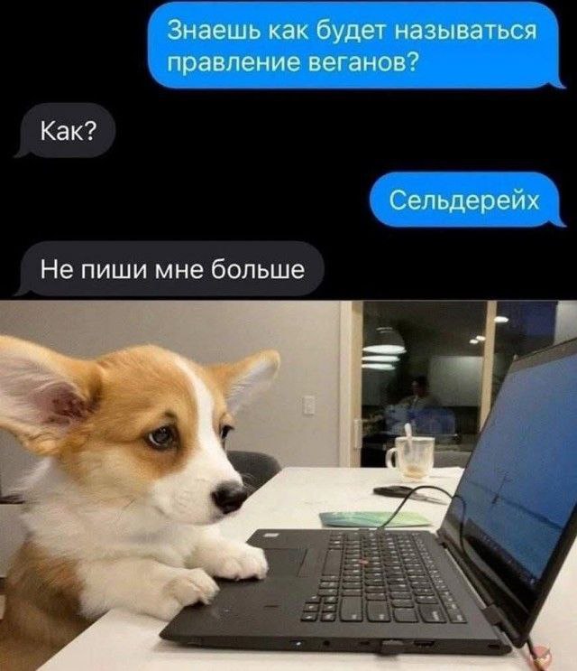 Мои избранные картинки часть 5