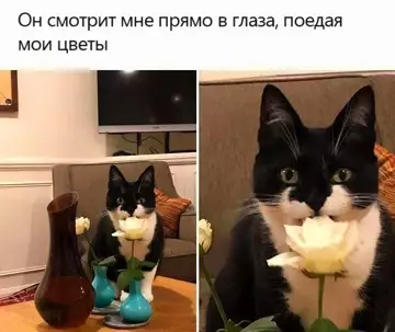 Картиночки, баянчики 05 марта