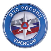 В России вынесли первый штраф за экстремистскую символику в MAX