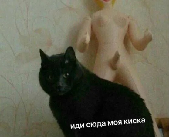 Пошлый и взрослый юмор #10