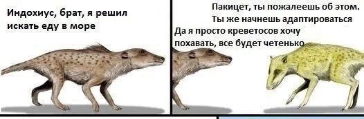 Поэтому детеныша кита и называют «телёнок», так как когда-то они были копытными.