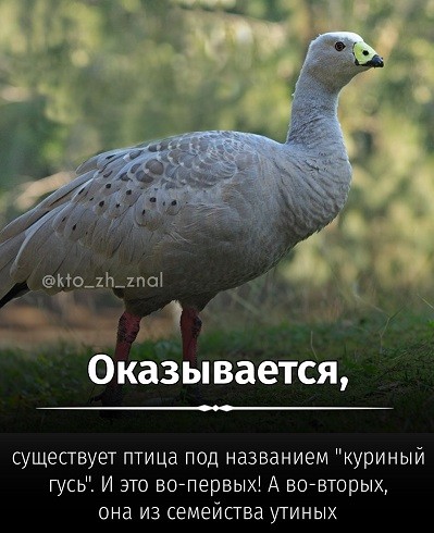 Так себе картинки 31.07.26