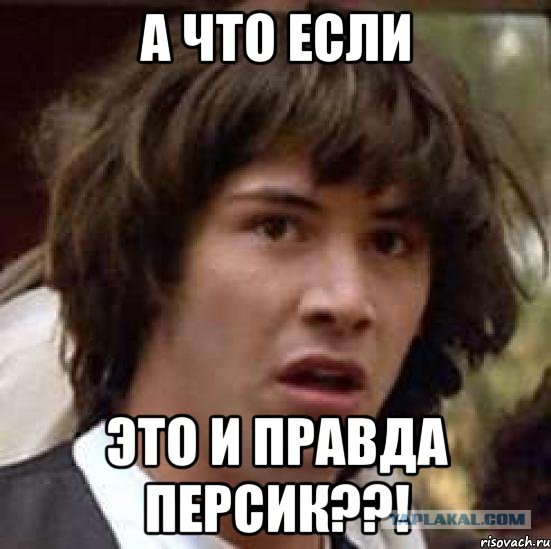 Подруга попросила фотик одолжить.