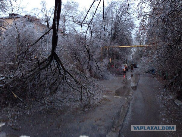 Краснодар в глазури
