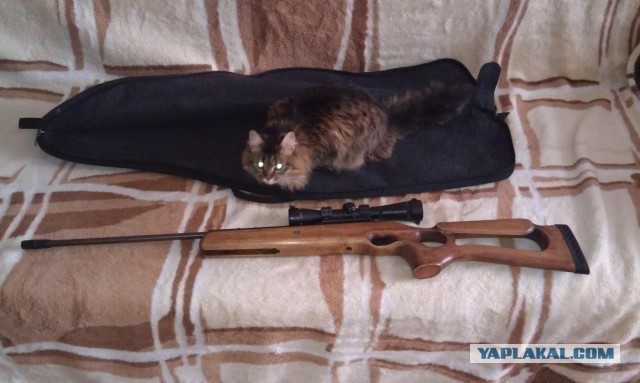 Пневматические винтовки