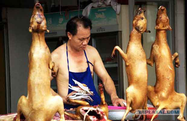 Братья.. давайте зажжем очаг! Погреемся