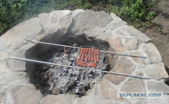 Курица гриль.