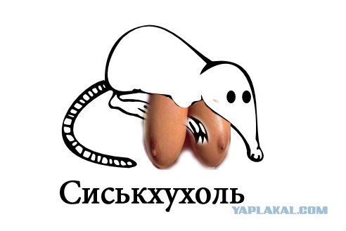 Классификация выхухолей