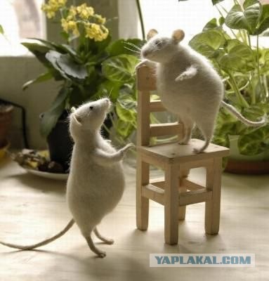 Позитивные картинки