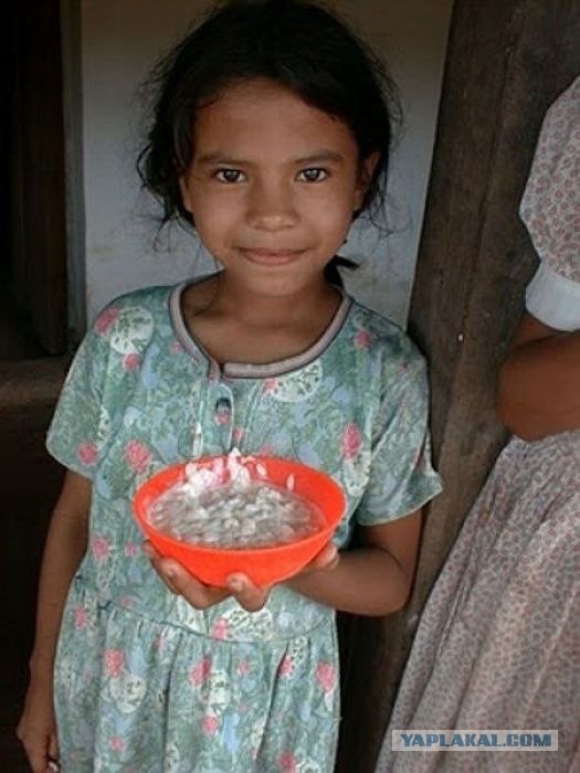 Чем кормят детей в школах разных стран?