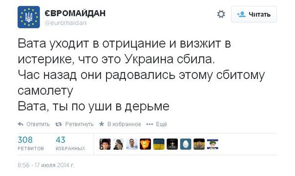 На Украине рухнул Боинг-777 малайзийских авиалиний