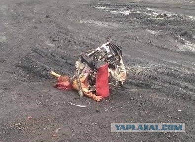 На Украине рухнул Боинг-777 малайзийских авиалиний