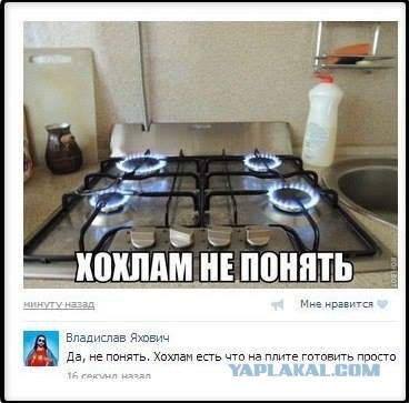 Смешные комментарии из социальных сетей