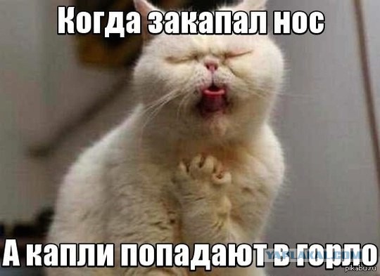Прикольная пятницо