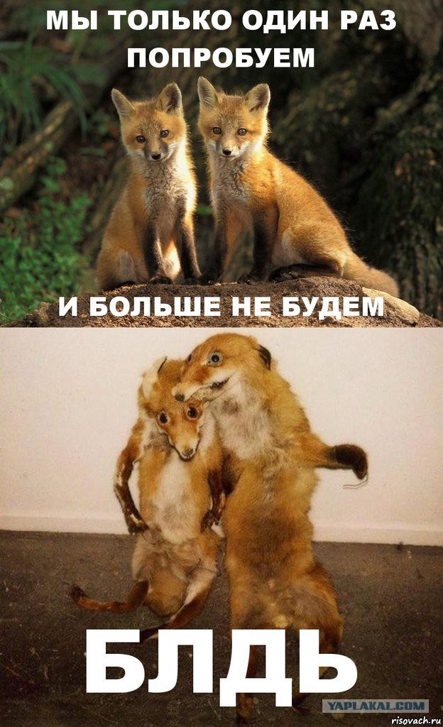 За употребление наркотиков хотят ввести уголовное