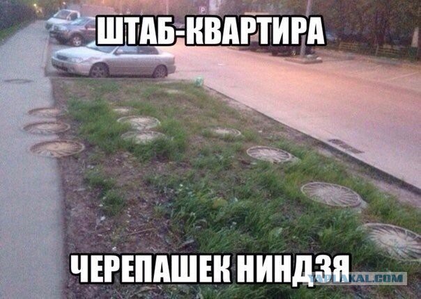 Подборка веселых картинок
