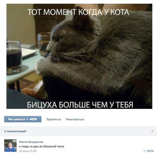 Смешные комментарии из соцсетей, картинки