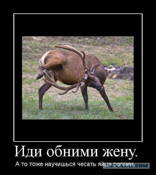 Обнаружил переписку своей жены с другом детства