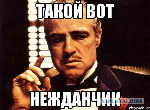 Что делать, если кот сгрыз зарядку