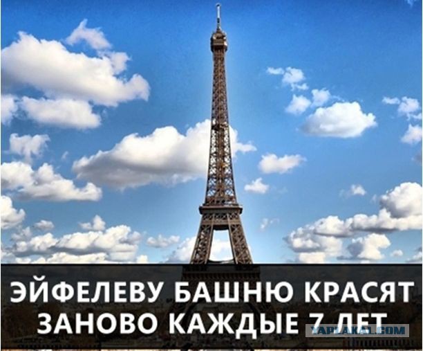 55 Интересных фактов.